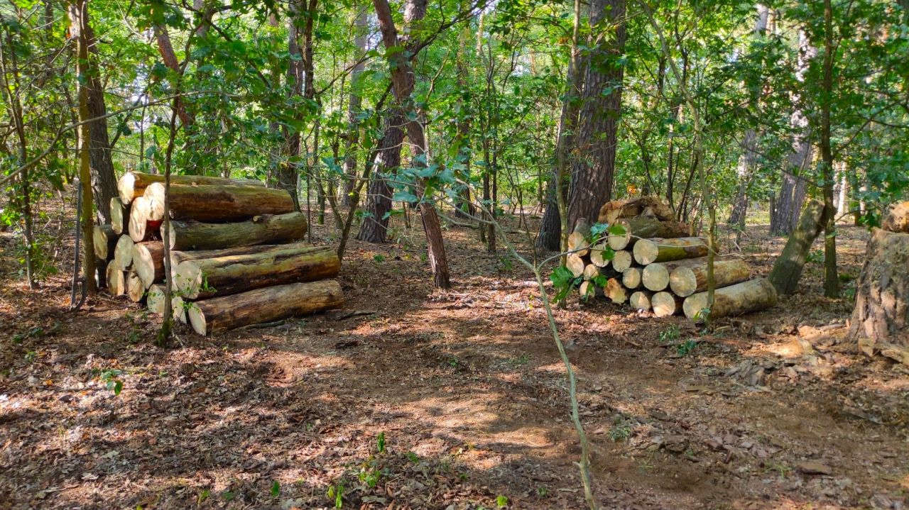 Działka rolno-budowlana Nowa Wieś-Śladów. Zdjęcie 16