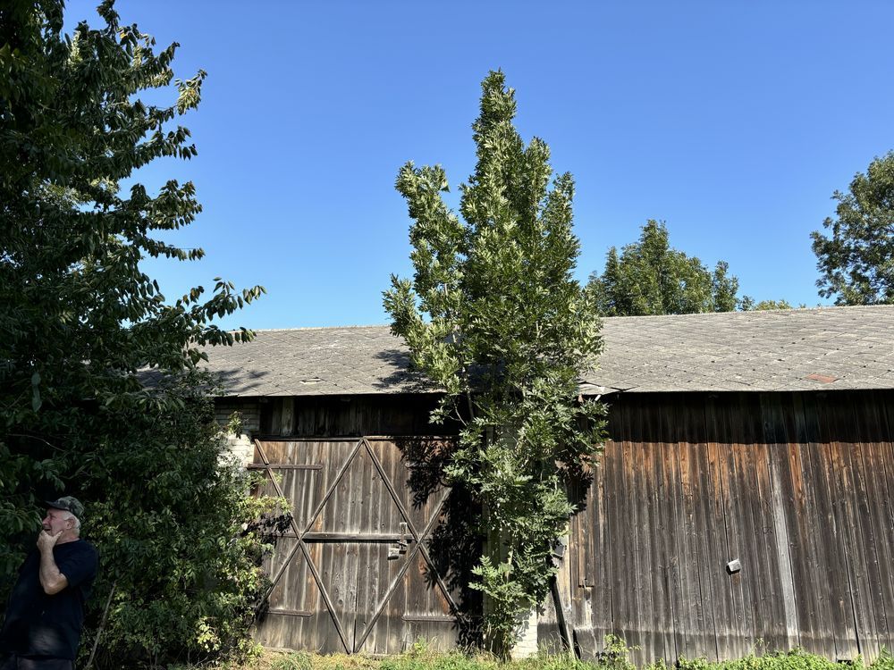 Działka siedliskowa Honiatycze. Zdjęcie 5