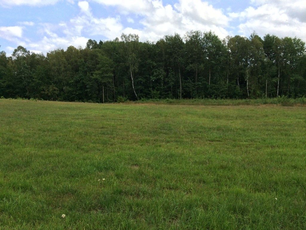 Działka siedliskowa Skrzeszewo, ul. Leśna. Zdjęcie 12