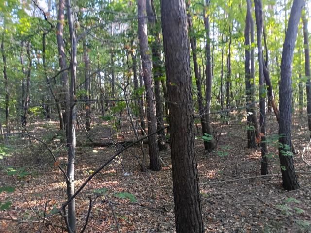 Działka inwestycyjna Legionowo. Zdjęcie 4