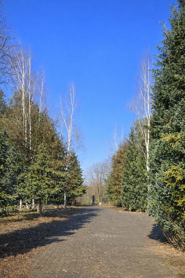 dom wolnostojący, 7 pokoi Rościsławice, ul. Wołowska. Zdjęcie 13