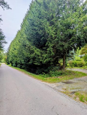 dom wolnostojący, 3 pokoje Nowa Wieś. Zdjęcie 3