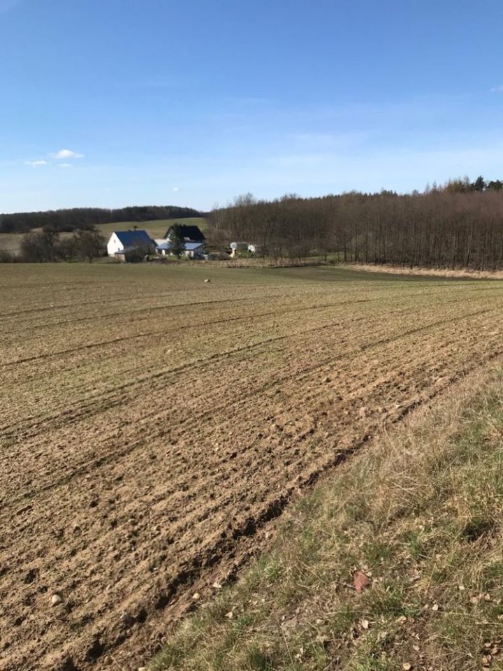 Działka siedliskowa Radońsk. Zdjęcie 1