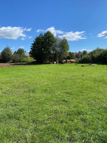 Działka budowlana Józefów, ul. Polnej Róży. Zdjęcie 1