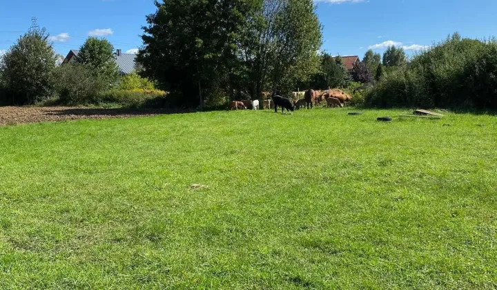 Działka budowlana Józefów, ul. Polnej Róży