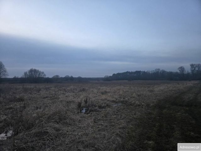 Działka rolna Ostrów Lubelski. Zdjęcie 1