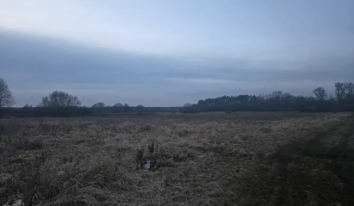 Działka rolna Ostrów Lubelski