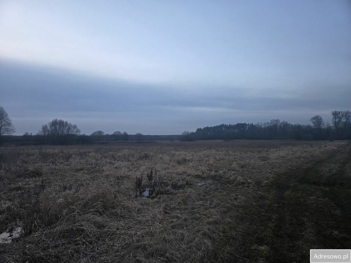 Działka rolna Ostrów Lubelski. Zdjęcie 1