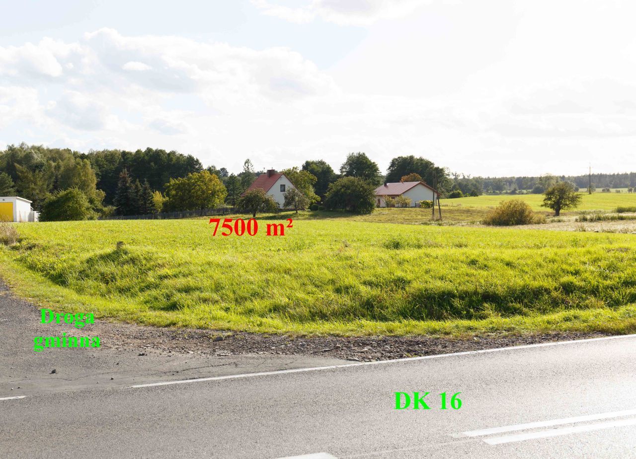 Działka inwestycyjna Laseczno. Zdjęcie 13