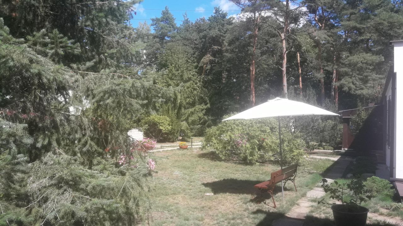 Nieruchomość komercyjna Wólka Radzymińska, ul. Szkolna. Zdjęcie 12