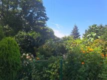 Działka rod Kluczbork, al. Pokoju. Zdjęcie 4