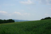 Działka budowlana Przybówka. Zdjęcie 4