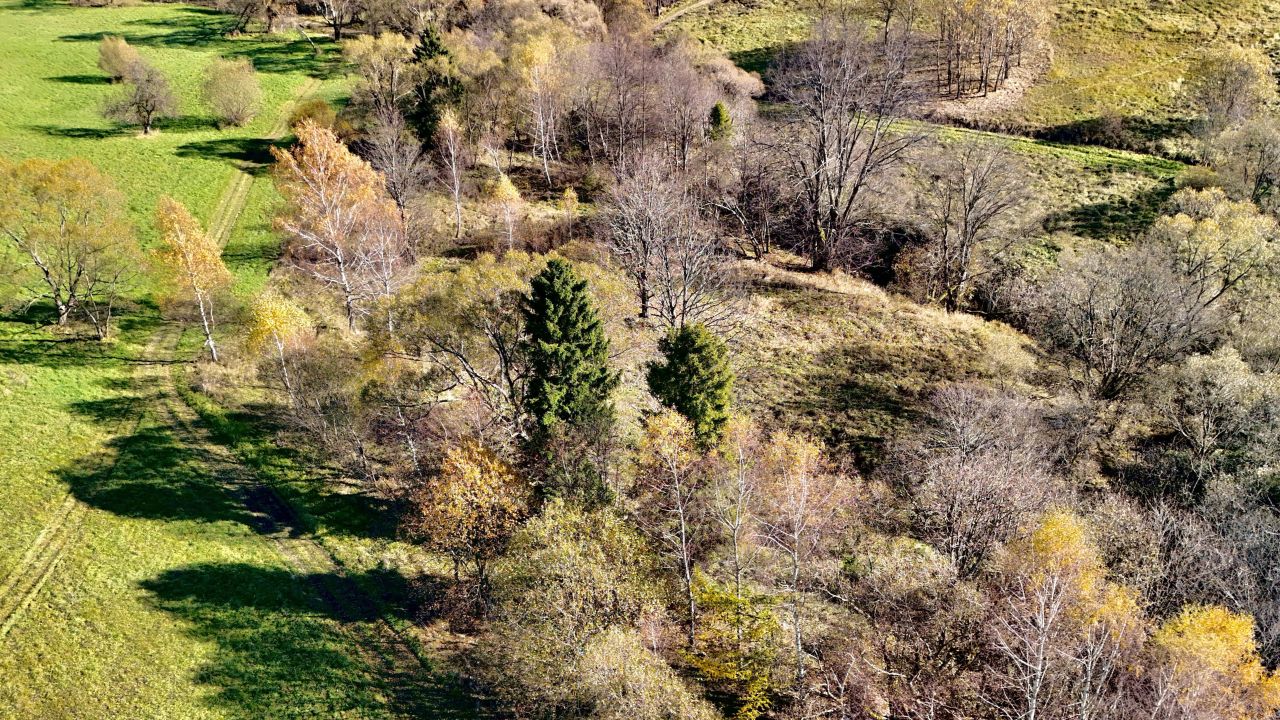 Działka inna Smerek. Zdjęcie 4