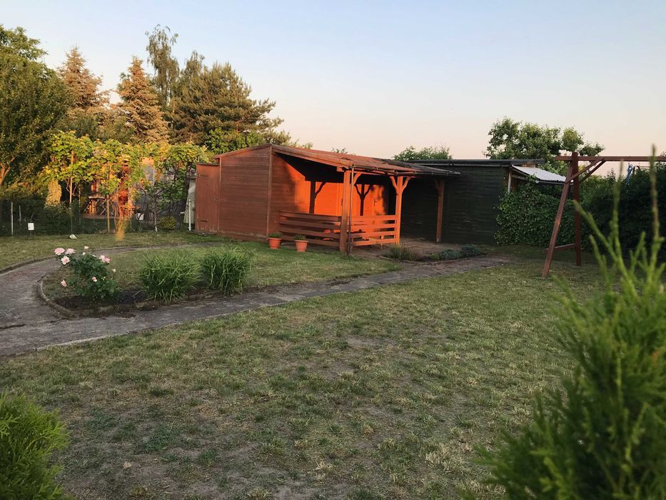 Działka rod Leszno Leszczynko, ul. Dożynkowa. Zdjęcie 2