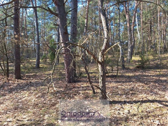 Działka rekreacyjna Urle. Zdjęcie 4