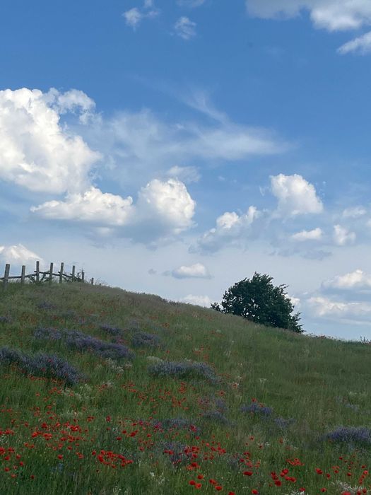 Działka inwestycyjna Nowa Wioska. Zdjęcie 2