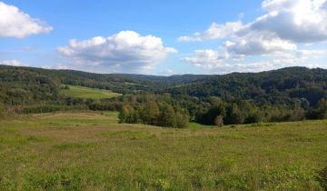 Działka rolno-budowlana Pietrusza Wola