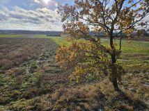 Działka budowlana Grodziszcze. Zdjęcie 3