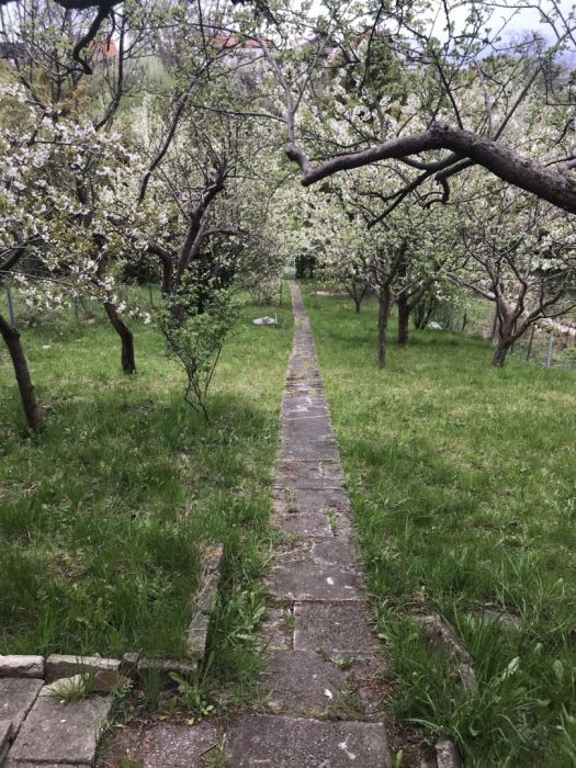 Działka rod Gdańsk Siedlce, ul. Józefa Wieniawskiego. Zdjęcie 10