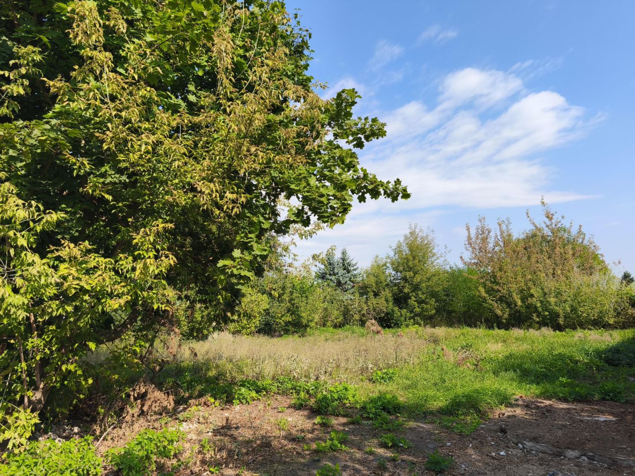 Działka budowlana Wołomin Lipiny B, ul. Piłsudskiego. Zdjęcie 3