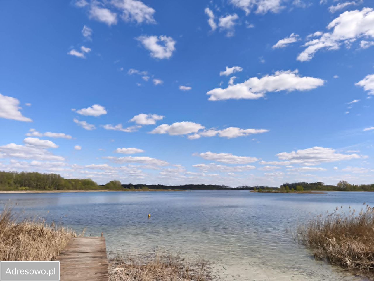 Działka budowlana Skorzęcin. Zdjęcie 4