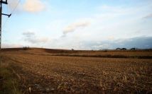 Działka rolno-budowlana Rudno Dolne. Zdjęcie 2