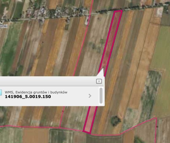 Działka rolna Koszelew. Zdjęcie 5