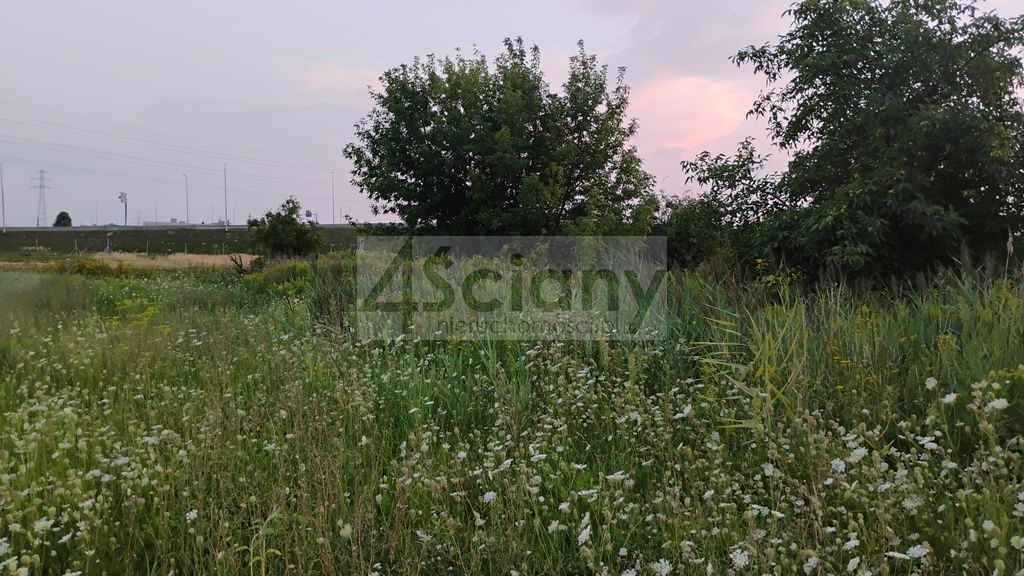 Działka inwestycyjna Nowa Wola. Zdjęcie 7