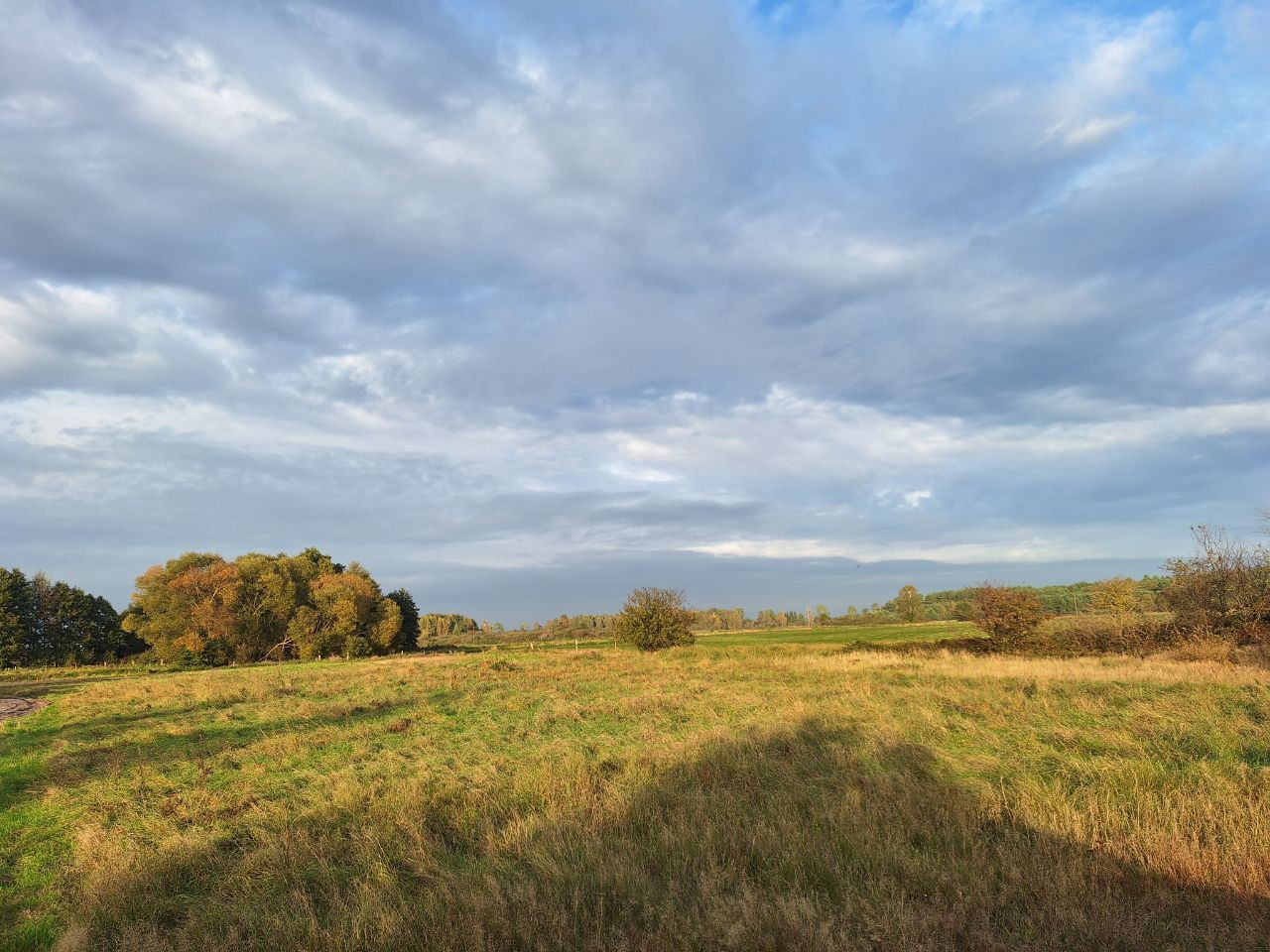 Działka budowlana Dębki, ul. Zakonna