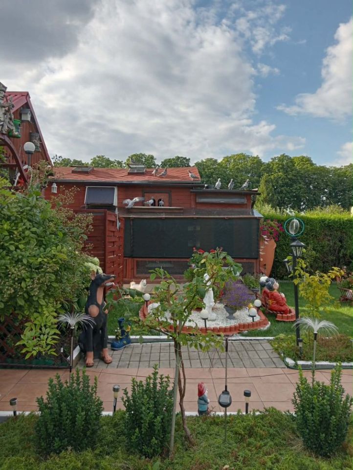 Działka rod Zabrze. Zdjęcie 7