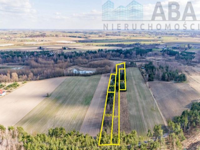 Działka rekreacyjna Świętne. Zdjęcie 4