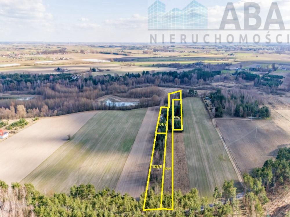 Działka rekreacyjna Świętne. Zdjęcie 4