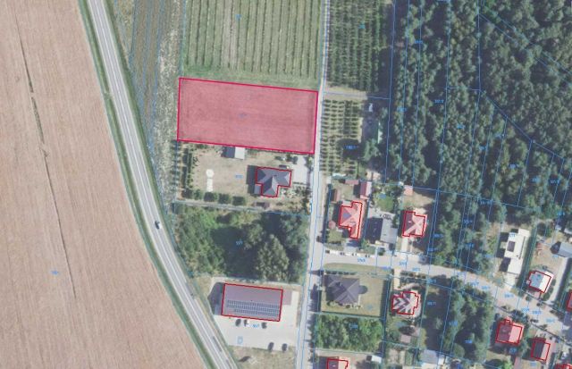 Działka budowlana Tarłów, os. Leśne. Zdjęcie 1