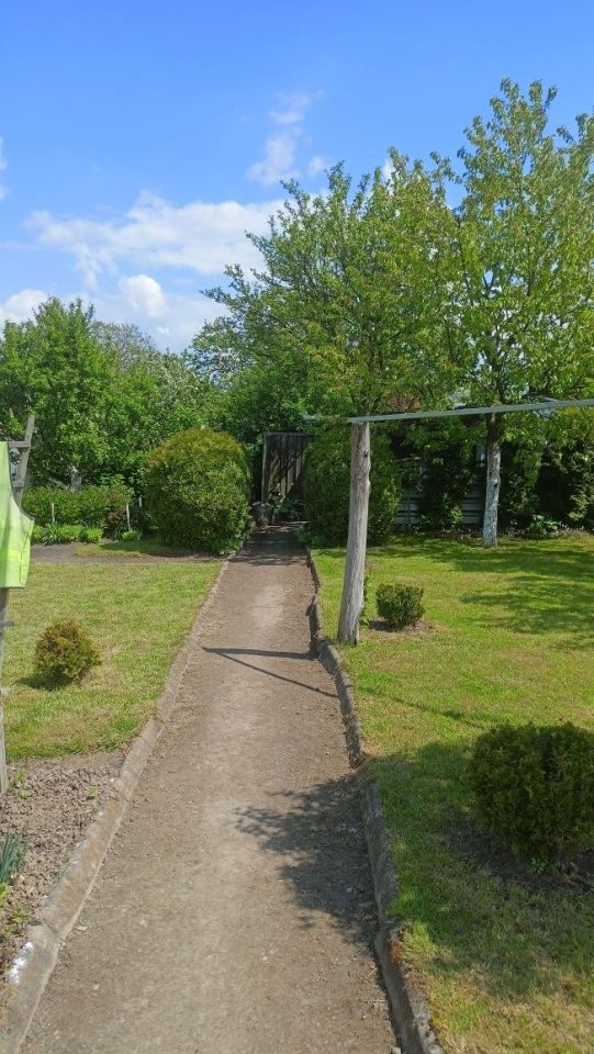Działka rod Legnica. Zdjęcie 5