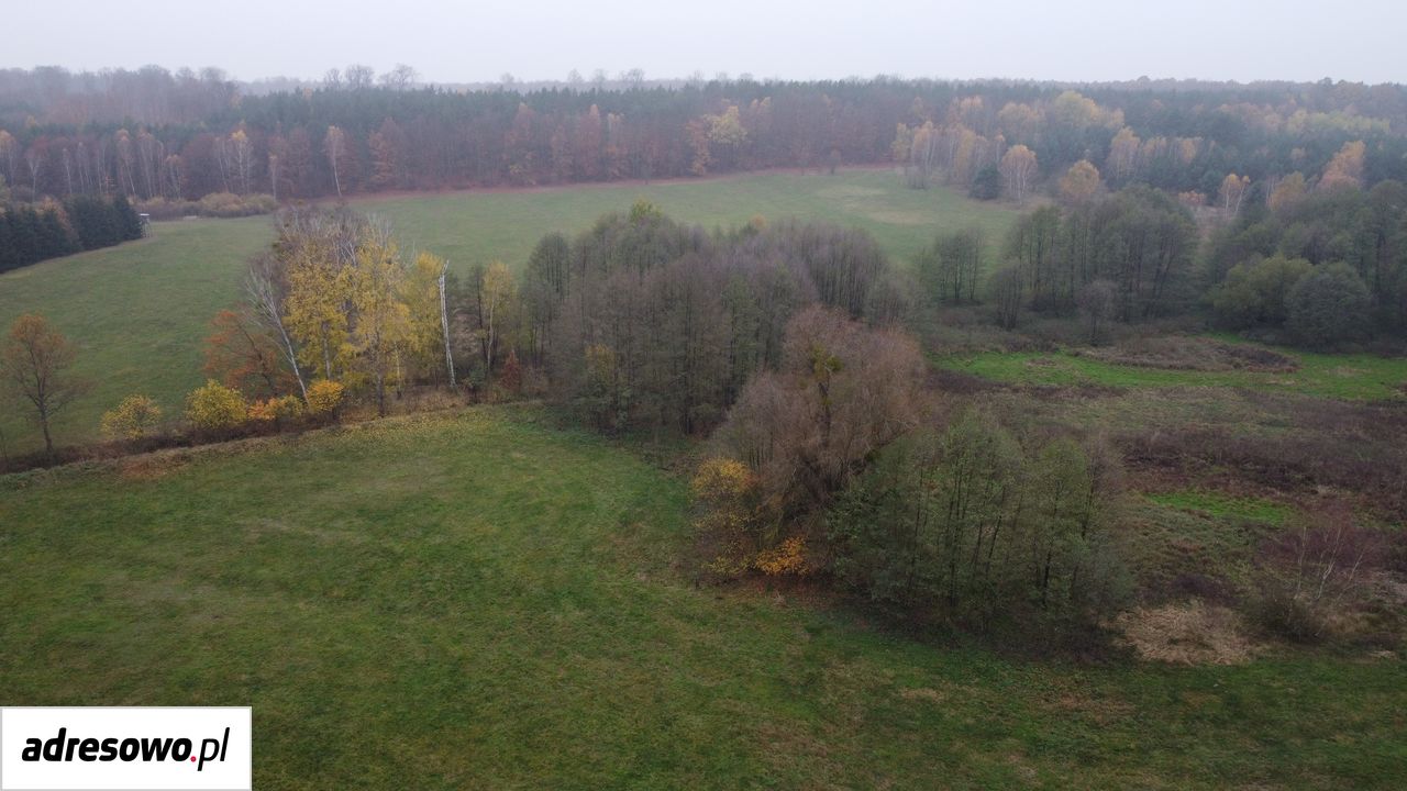 Działka budowlana Mosina. Zdjęcie 8