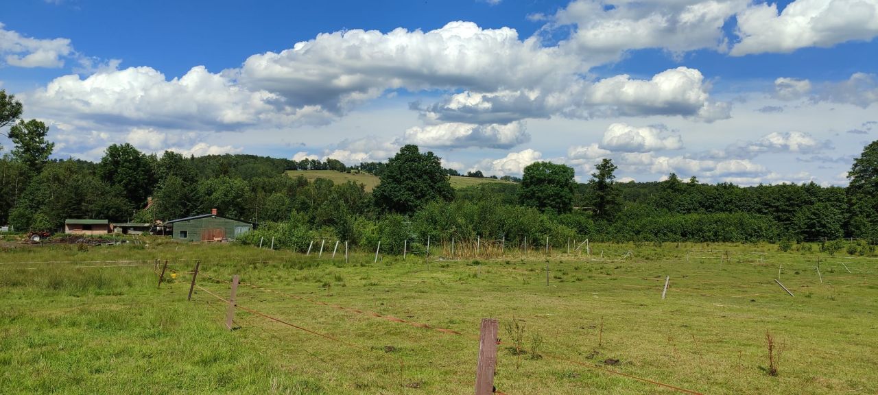 siedlisko, 3 pokoje Milęcice. Zdjęcie 32