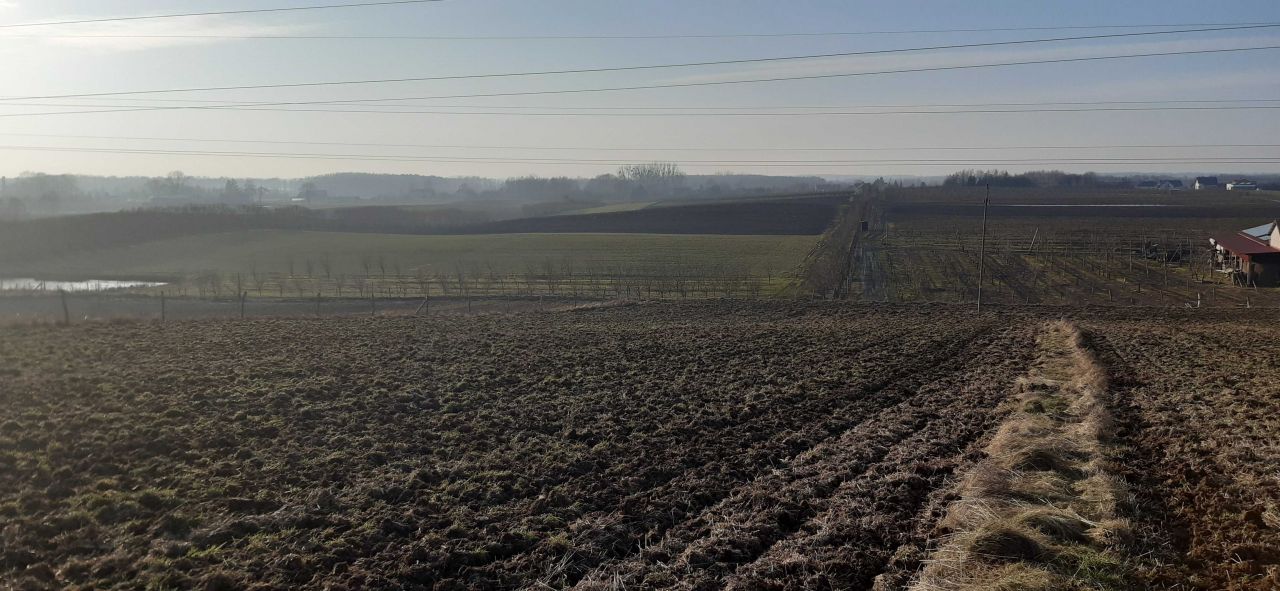 Działka rolno-budowlana Radomek. Zdjęcie 6