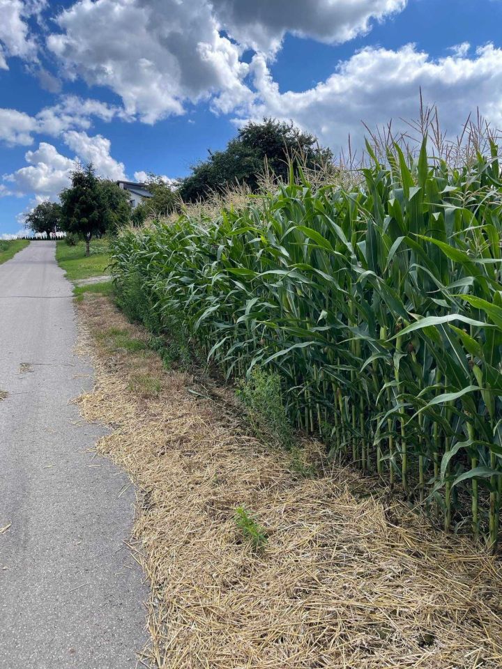 Działka rolno-budowlana Garbów, ul. Widokowa. Zdjęcie 3