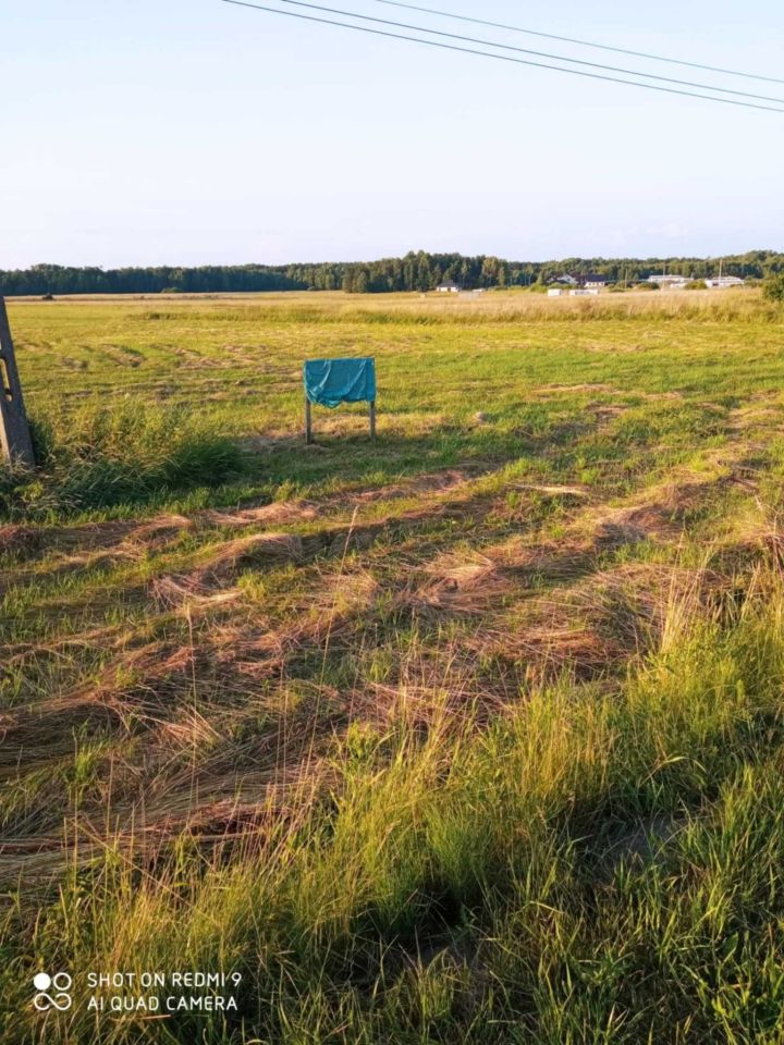 Działka rolno-budowlana Występy. Zdjęcie 3