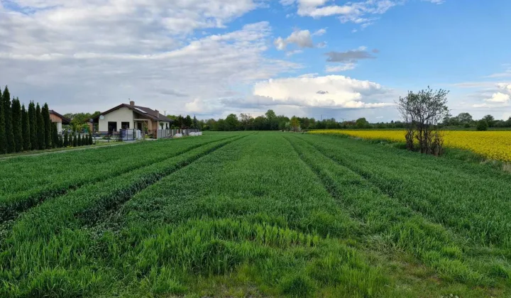Działka budowlana Kraśnik, ul. Kwiatkowicka