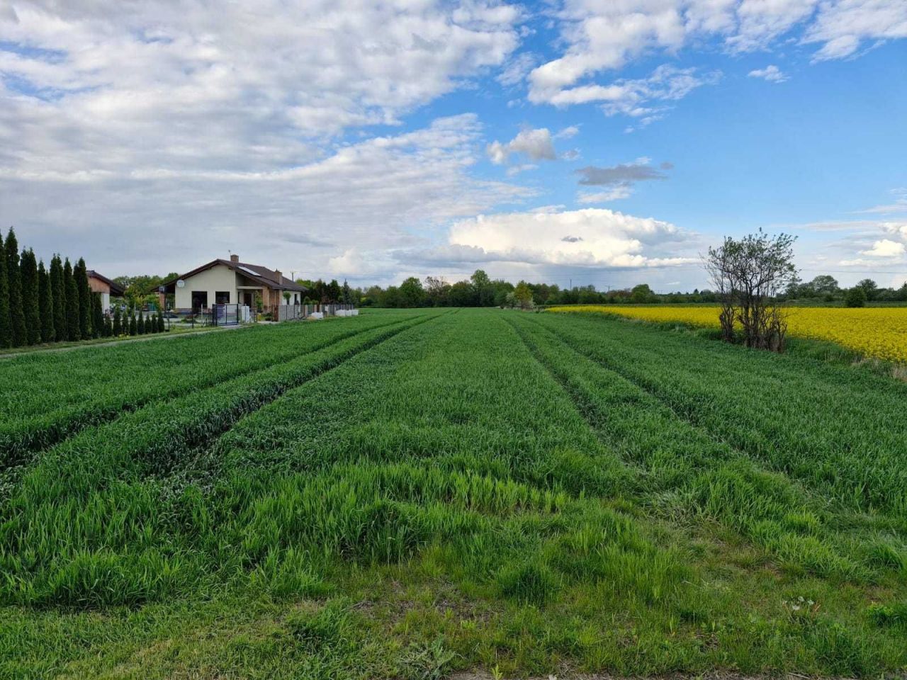 Działka budowlana Kraśnik, ul. Kwiatkowicka