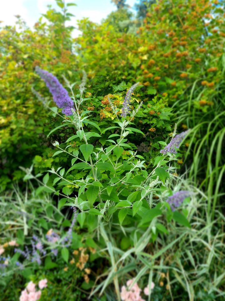 dom wolnostojący, 5 pokoi Bobrowiec, ul. Sójki. Zdjęcie 32