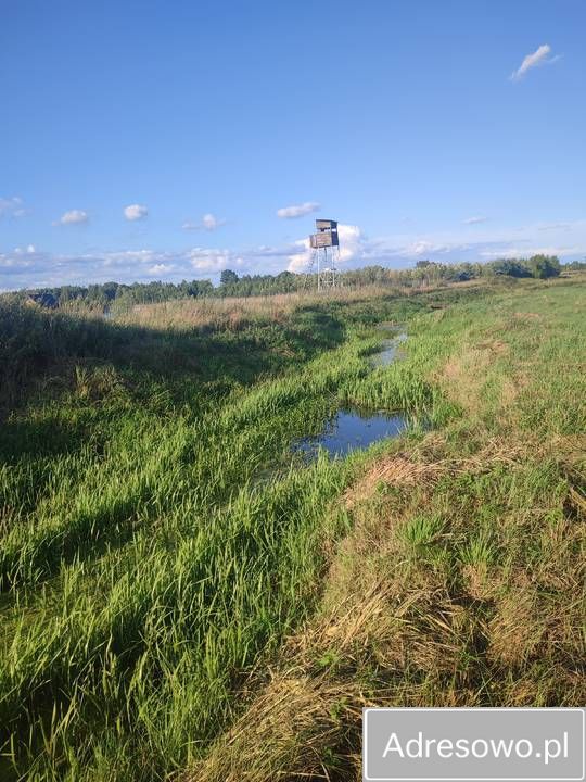 Działka rolna Gredele. Zdjęcie 4