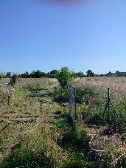 Działka siedliskowa Dygowo. Zdjęcie 2