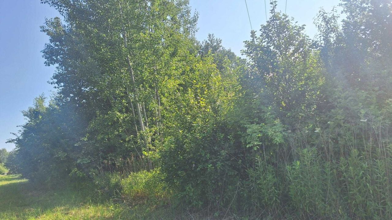 Działka rolna Tłuszcz Zakrzewie. Zdjęcie 5
