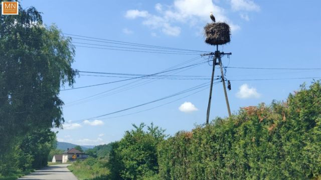 dom wolnostojący, 5 pokoi Dobra. Zdjęcie 21