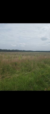 Działka rolno-budowlana Karlikowo Lęborskie. Zdjęcie 1
