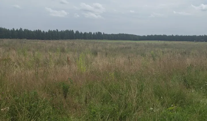 Działka rolno-budowlana Karlikowo Lęborskie