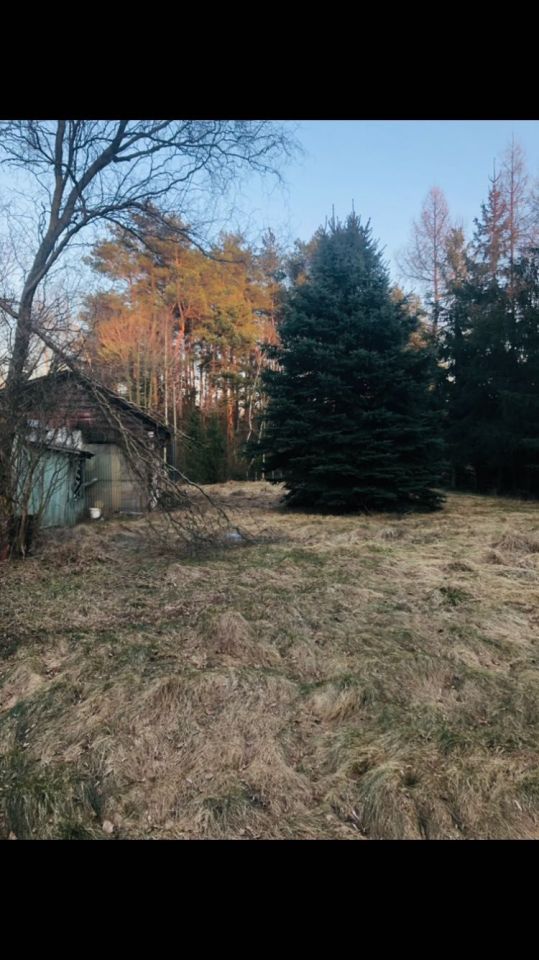 Działka budowlana Imielnia. Zdjęcie 6