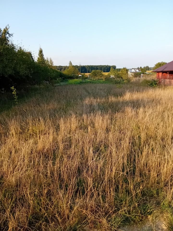 Działka rekreacyjna Woroniec. Zdjęcie 4